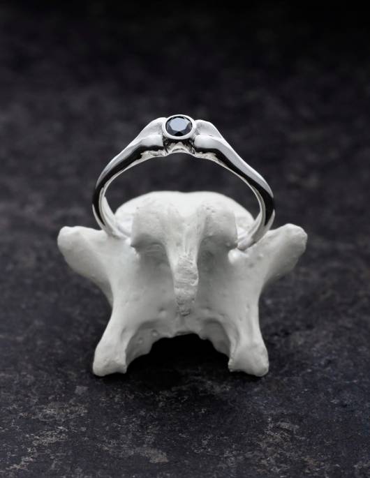 Ein Platinring für Frauen in Form eines Knochens mit schwarzem Diamant auf einem Knochen stehend.