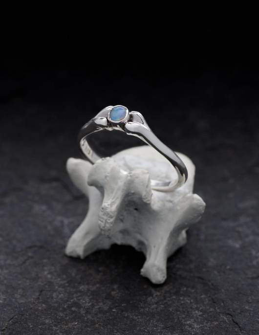 Un pequeño anillo de plata con un ópalo azul claro está sobre un hueso.